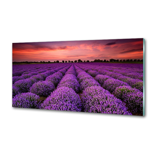Panel de pared de cocina campo de lavanda
