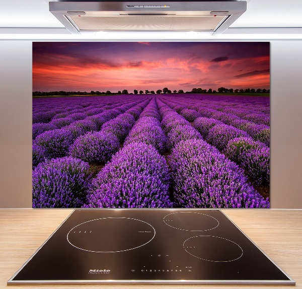Panel de pared de cocina campo de lavanda