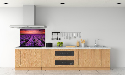 Panel de pared de cocina campo de lavanda