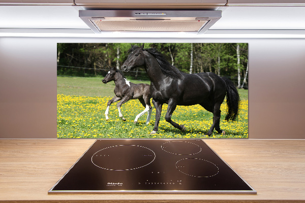 Salpicadero de cocina Yegua con potro