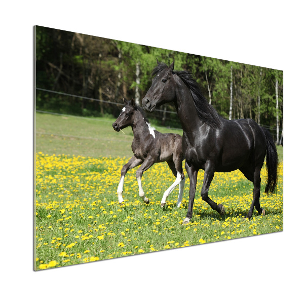 Salpicadero de cocina Yegua con potro