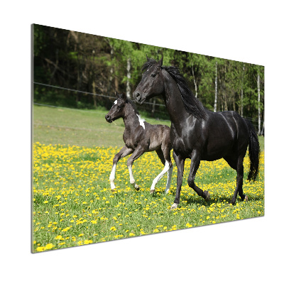 Salpicadero de cocina Yegua con potro