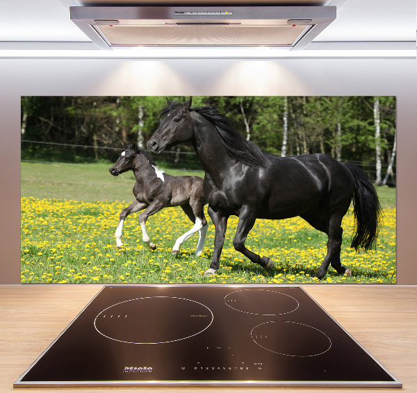 Salpicadero de cocina Yegua con potro