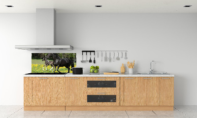 Salpicadero de cocina Yegua con potro