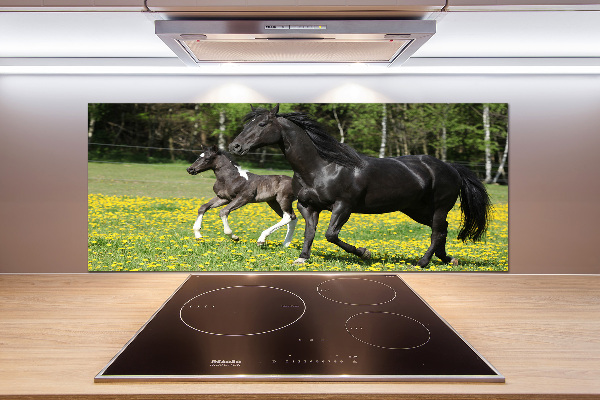 Salpicadero de cocina Yegua con potro