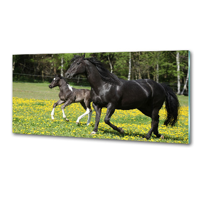 Salpicadero de cocina Yegua con potro