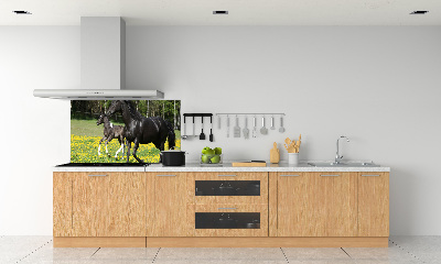 Salpicadero de cocina Yegua con potro