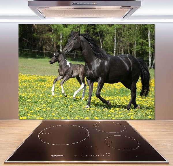 Salpicadero de cocina Yegua con potro