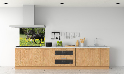 Salpicadero de cocina Yegua con potro