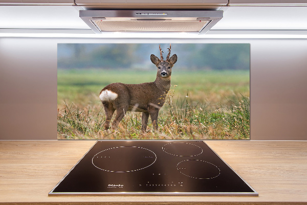 Panel para cocina Hueva