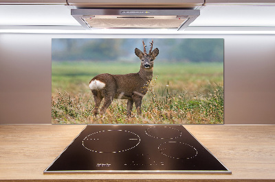 Panel para cocina Hueva