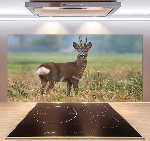 Panel para cocina Hueva