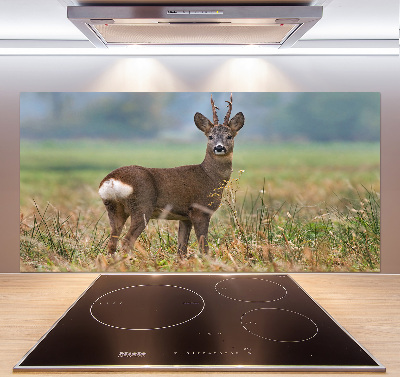 Panel para cocina Hueva