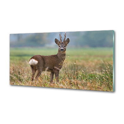 Panel szklany do kuchni Sarna