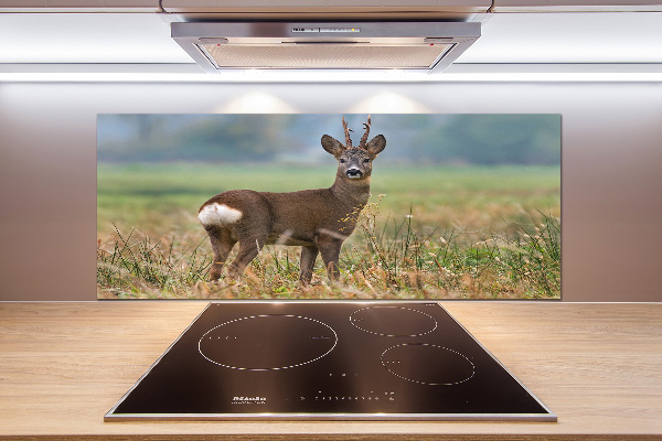 Panel para cocina Hueva