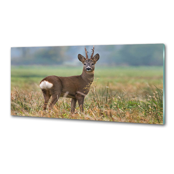 Panel para cocina Hueva