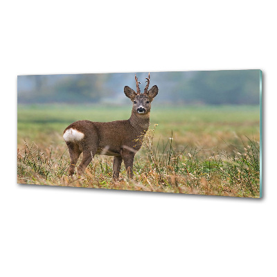 Panel szklany do kuchni Sarna