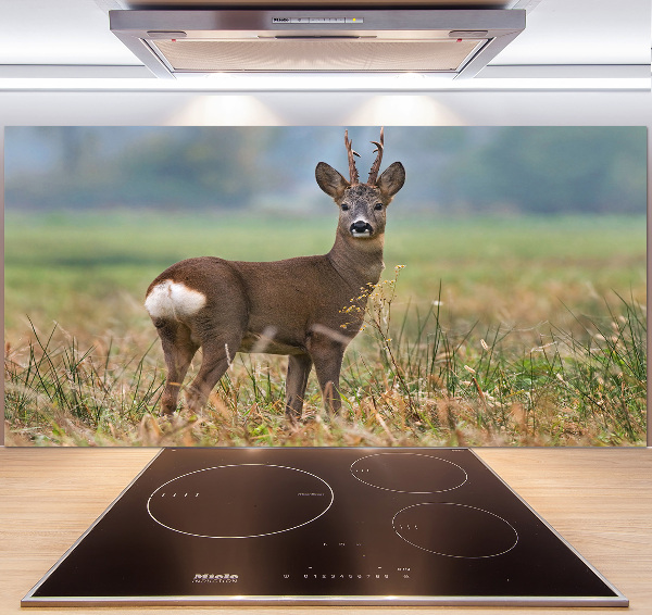 Panel para cocina Hueva