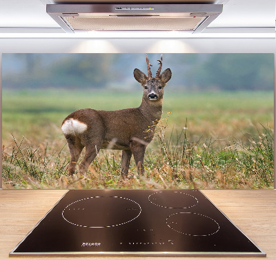 Panel para cocina Hueva