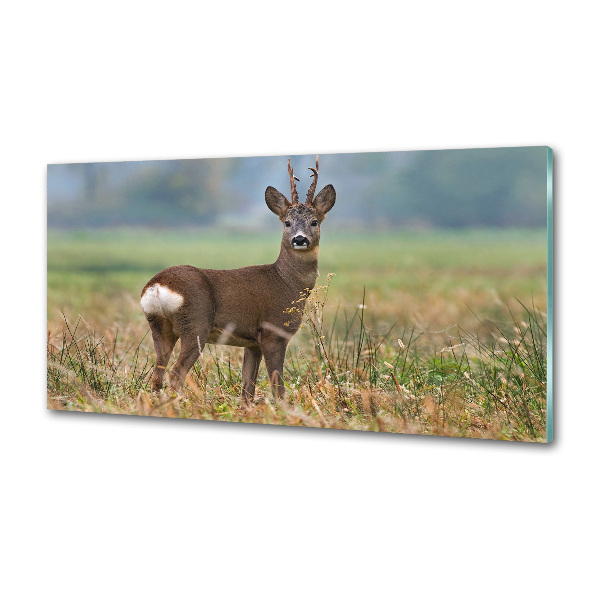 Panel szklany do kuchni Sarna