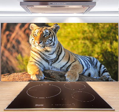 Salpicadero para cocina Retrato de un tigre