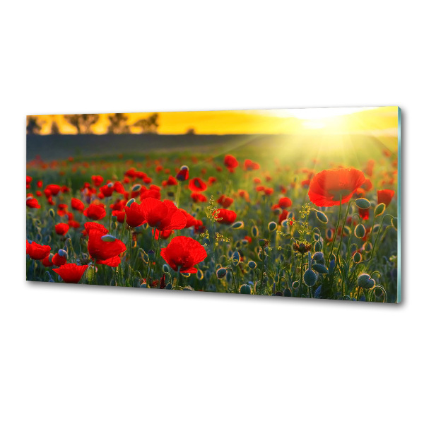 Panel dekor szkło Pole maków