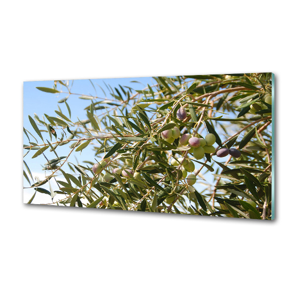 Panel do kuchni Drzewo oliwne