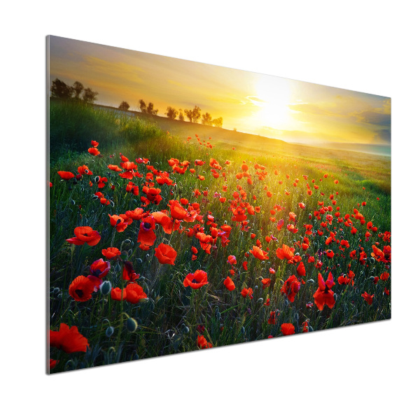 Panel dekor szkło Pole maków
