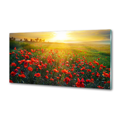 Panel antisalpicaduras Campo de amapolas