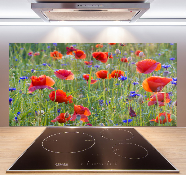 Panel de pared de cocina Flores silvestres
