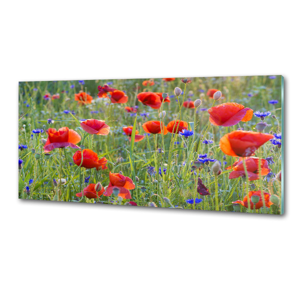Panel de pared de cocina Flores silvestres