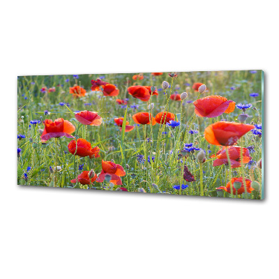 Panel de pared de cocina Flores silvestres