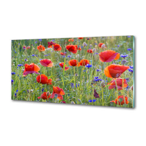 Panel de pared de cocina Flores silvestres