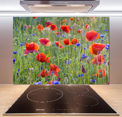 Panel de pared de cocina Flores silvestres