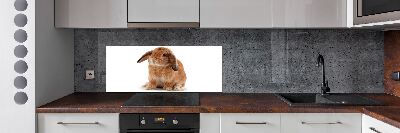 Panel antisalpicaduras conejo rojo