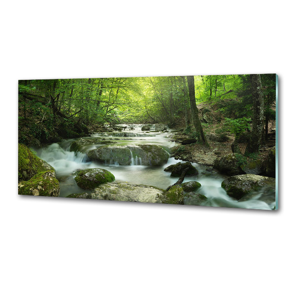 Panel de pared de cocina Cascada en el bosque