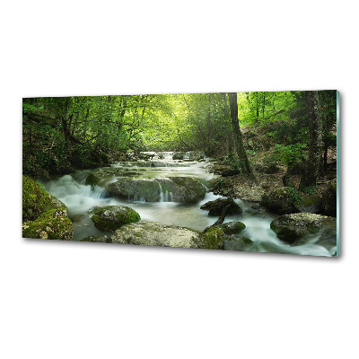 Panel de pared de cocina Cascada en el bosque