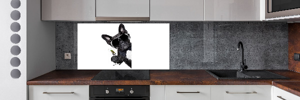 Panel para cocina Perro Martini