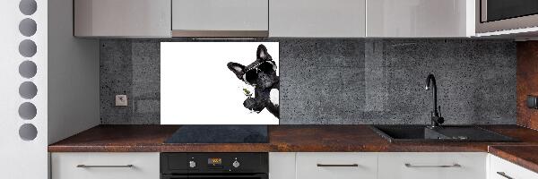 Panel para cocina Perro Martini
