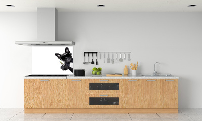 Panel para cocina Perro Martini