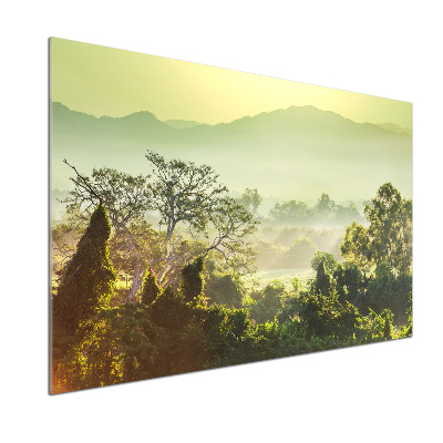 Panel para cocina Selva