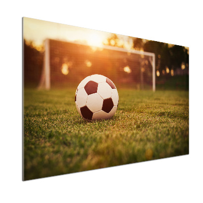 Panel de pared de cocina El balón en el campo