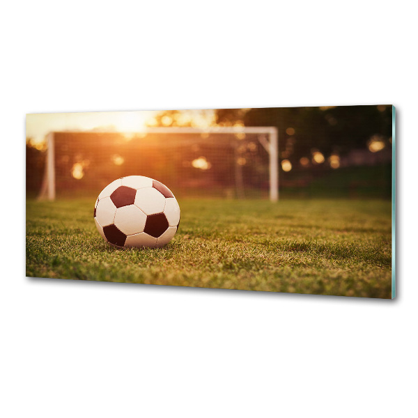 Panel de pared de cocina El balón en el campo
