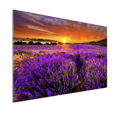 Panel de pared de cocina campo de lavanda