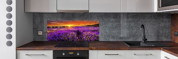 Panel de pared de cocina campo de lavanda