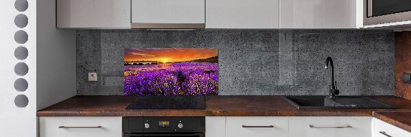 Panel de pared de cocina campo de lavanda