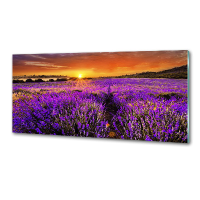 Panel de pared de cocina campo de lavanda