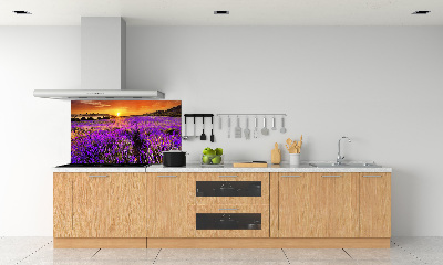 Panel de pared de cocina campo de lavanda