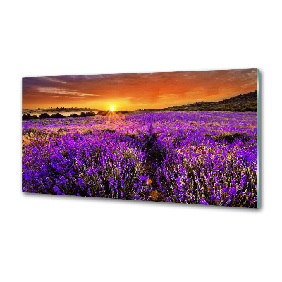 Panel de pared de cocina campo de lavanda