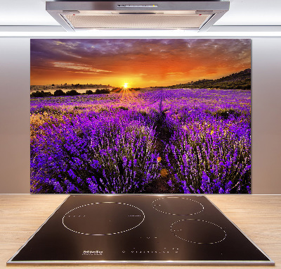 Panel de pared de cocina campo de lavanda